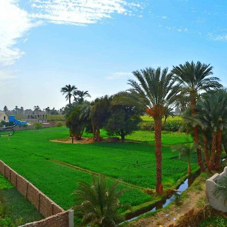 Farida Apartments Luxor Bagian luar foto