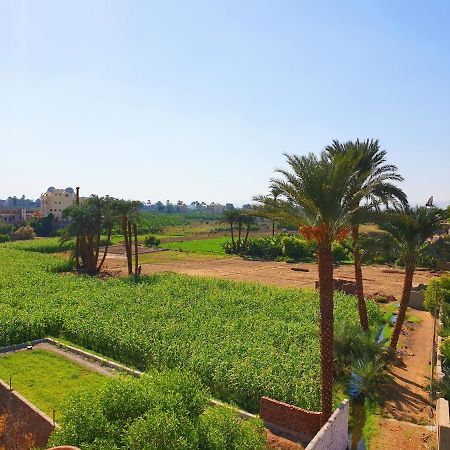 Farida Apartments Luxor Bagian luar foto