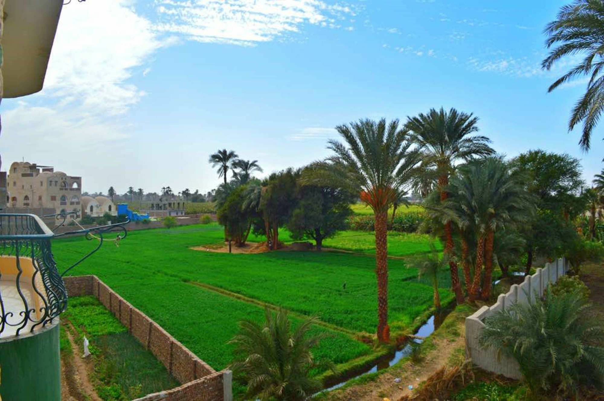 Farida Apartments Luxor Bagian luar foto