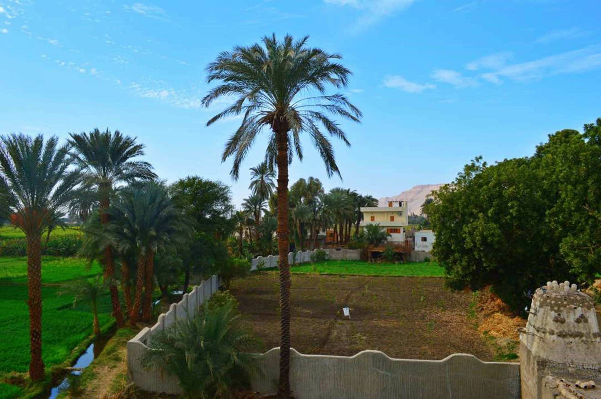 Farida Apartments Luxor Bagian luar foto