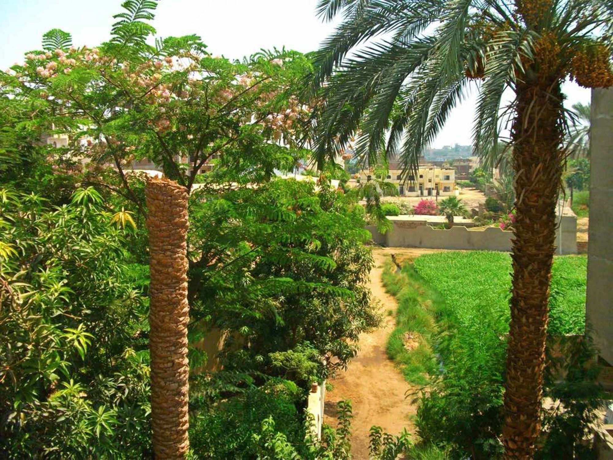 Farida Apartments Luxor Bagian luar foto