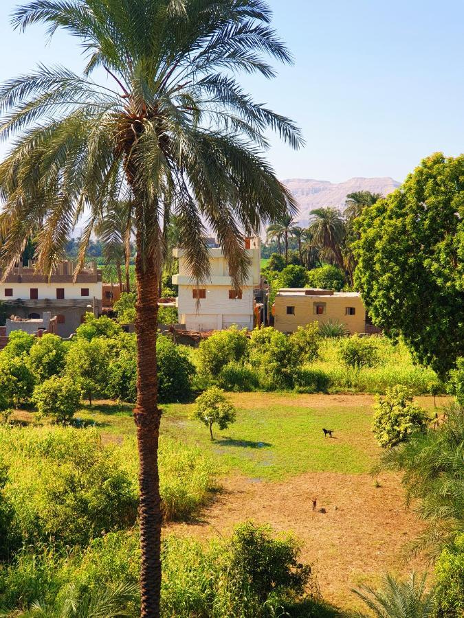 Farida Apartments Luxor Bagian luar foto