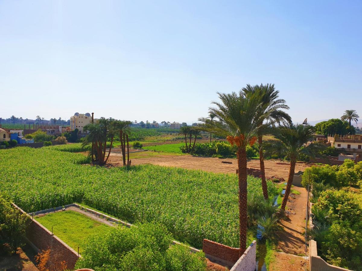 Farida Apartments Luxor Bagian luar foto