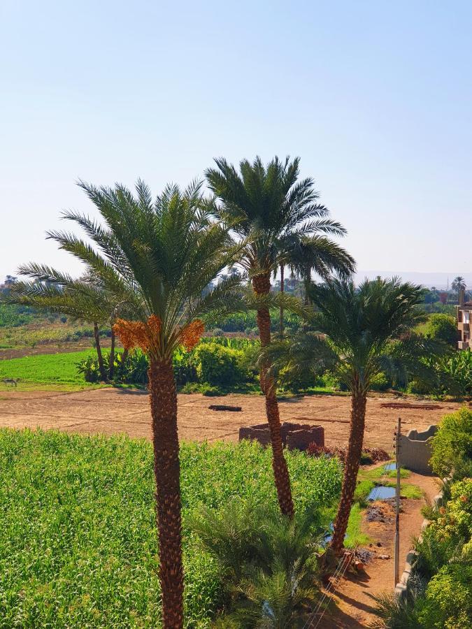 Farida Apartments Luxor Bagian luar foto